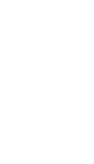 mva